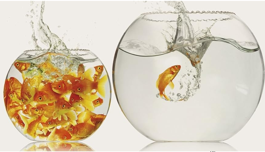 copyright Richard Wilkinson